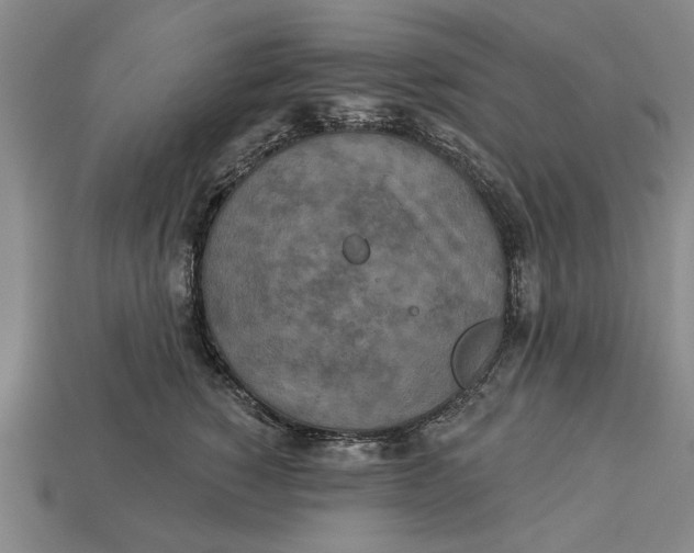 X0000112960760200909171257