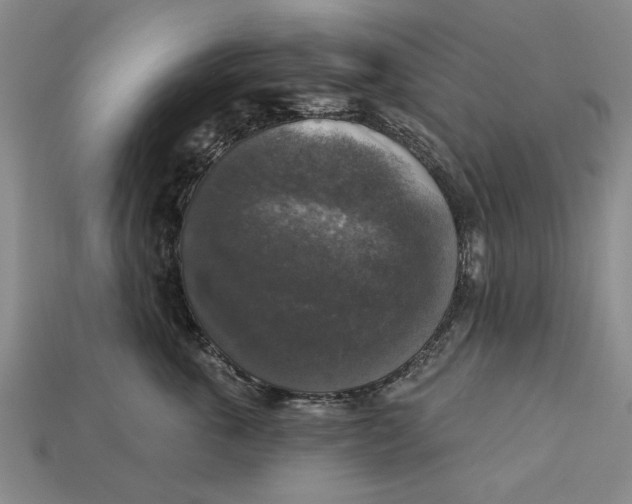 X0000112960763200909171257