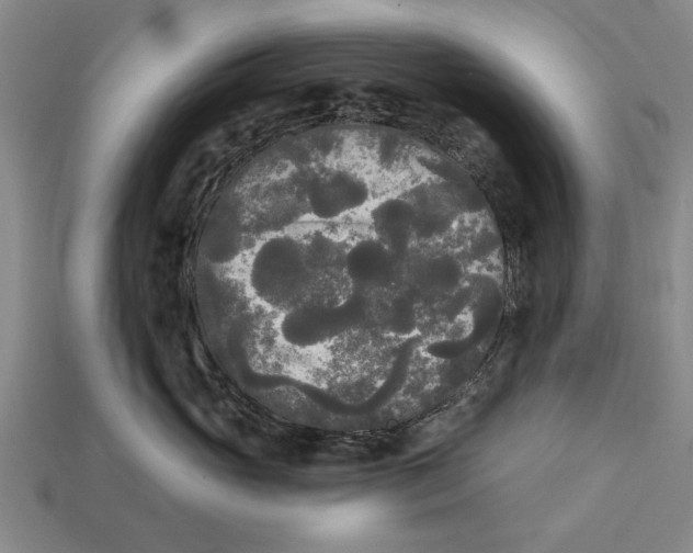 X0000112960765200909171257