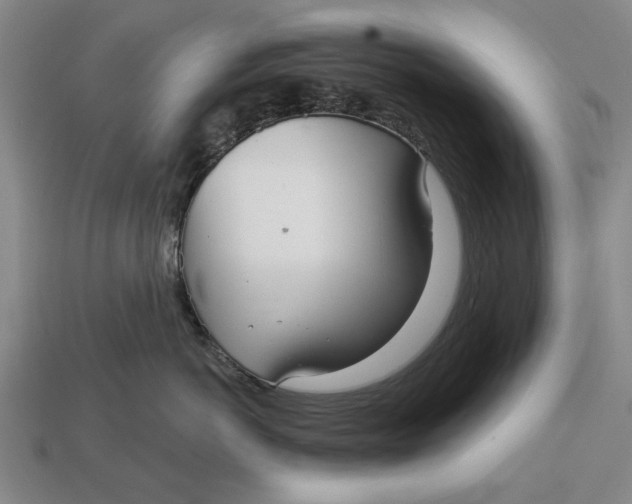 X0000112960766200909171257