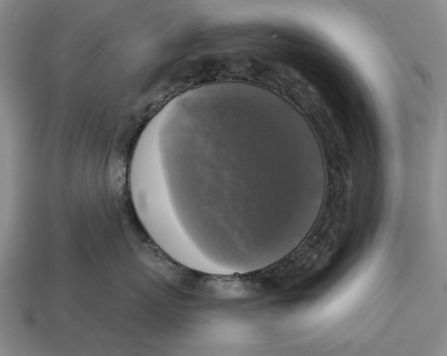 X0000112960767200909171257