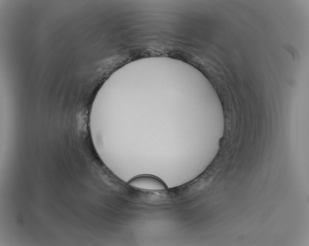 X0000112960768200909171258