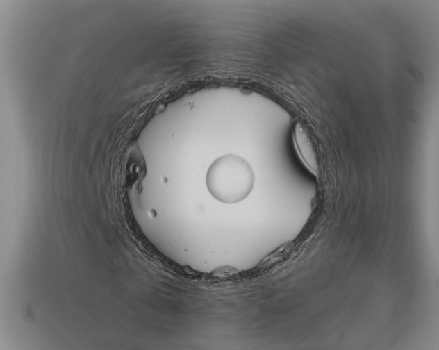 X0000112960769200909171257