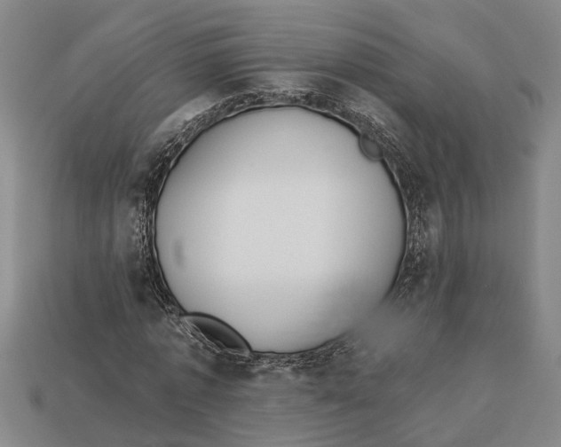 X0000112960773200909171257