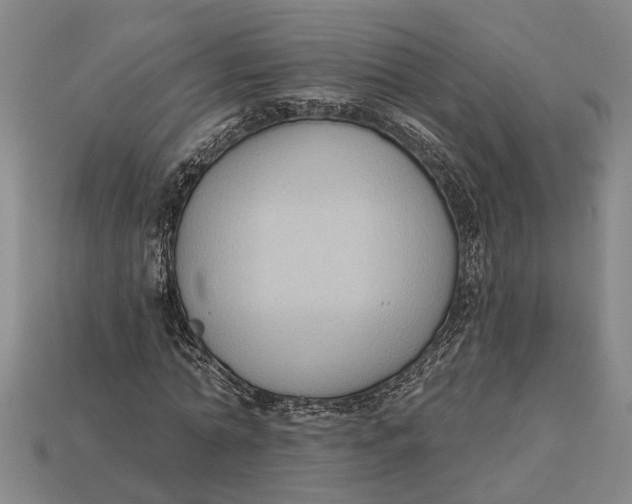 X0000112960774200909171257