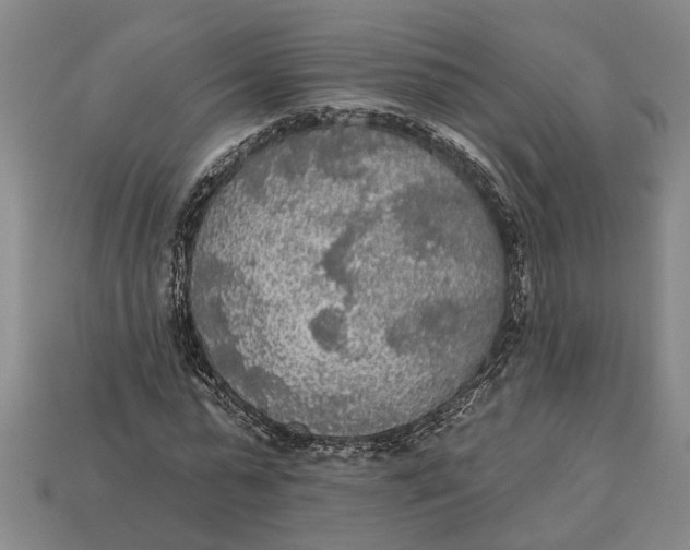 X0000112960775200909171257