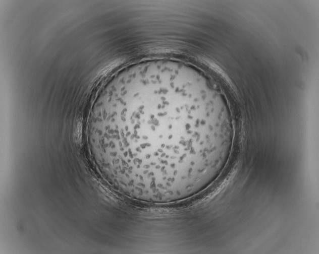 X0000112960777200909171257