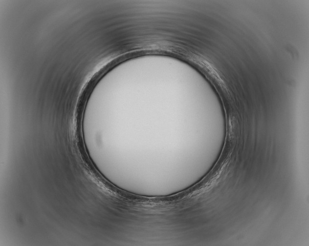 X0000112960780200909171257