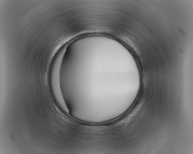 X0000112960781200909171257