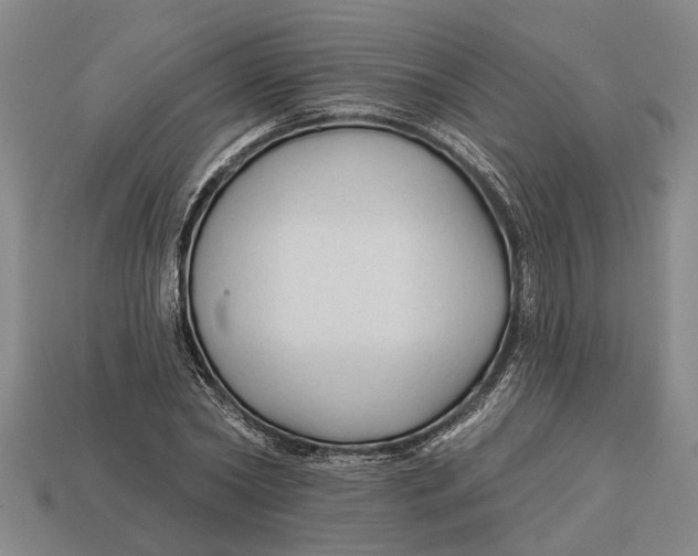 X0000112960782200909171257