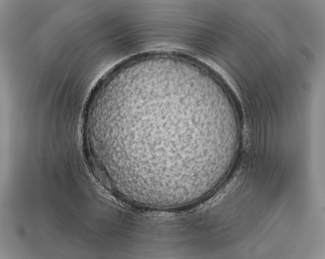 X0000112960783200909171257