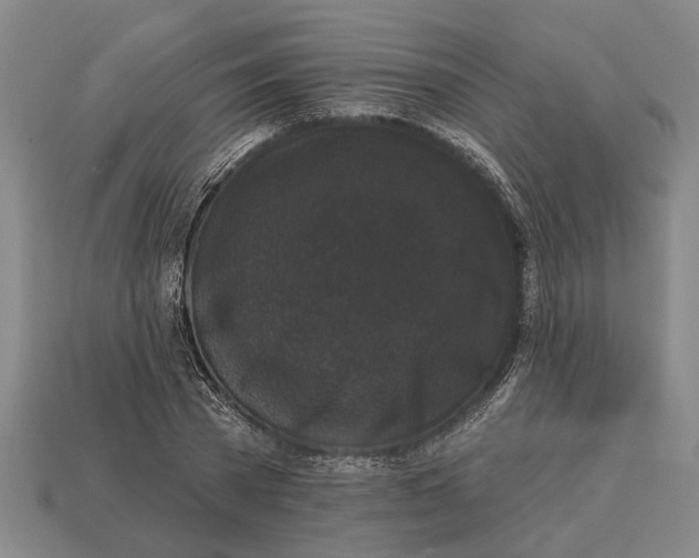 X0000112960785200909171257