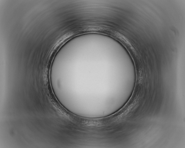 X0000112960786200909171257