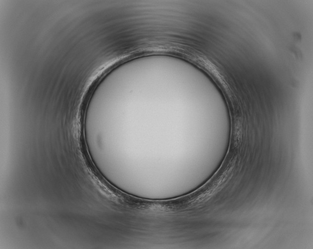 X0000112960787200909171257