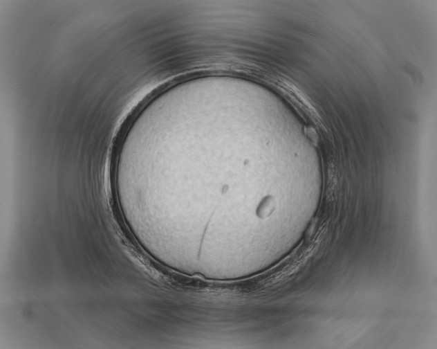 X0000112960788200909171257