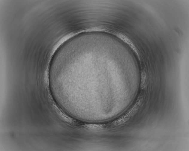 X0000112960789200909171257