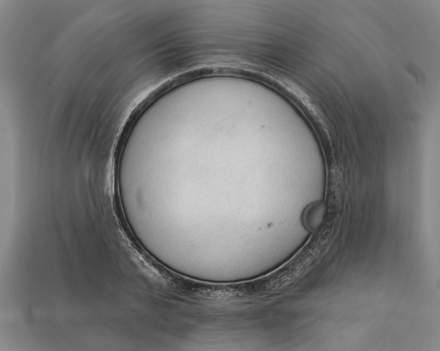 X0000112960791200909171257