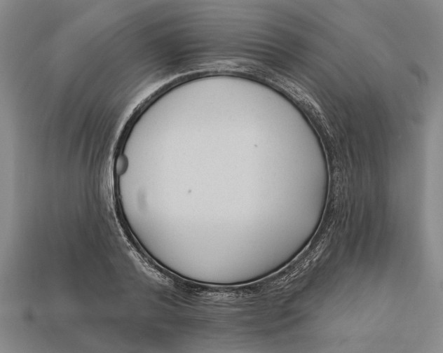 X0000112960792200909171257