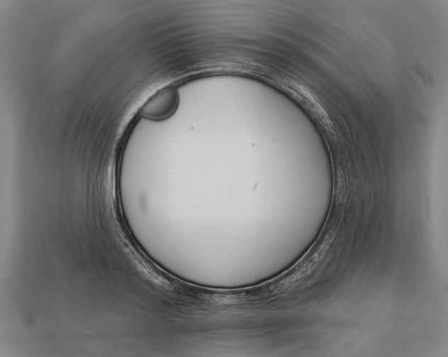 X0000112960796200909171257