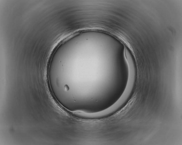 X0000112960797200909171257