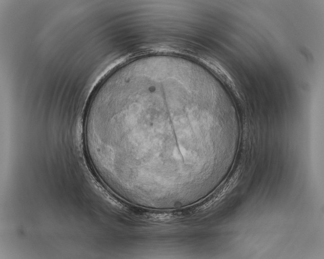 X0000112960798200909171256