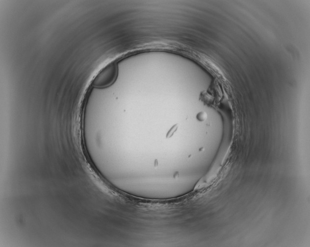 X0000112960800200909171256