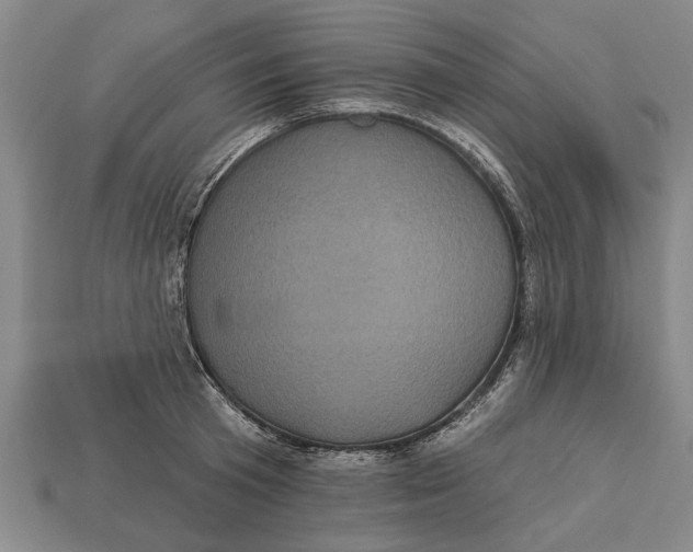 X0000112960801200909171256