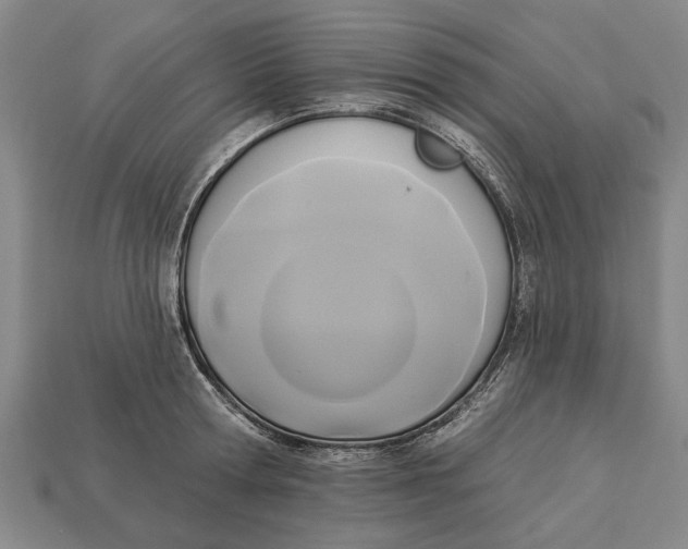 X0000112960802200909171256