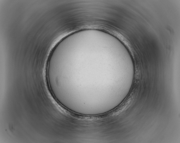 X0000112960803200909171256