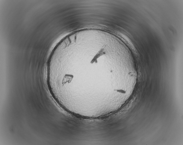 X0000112960804200909171256