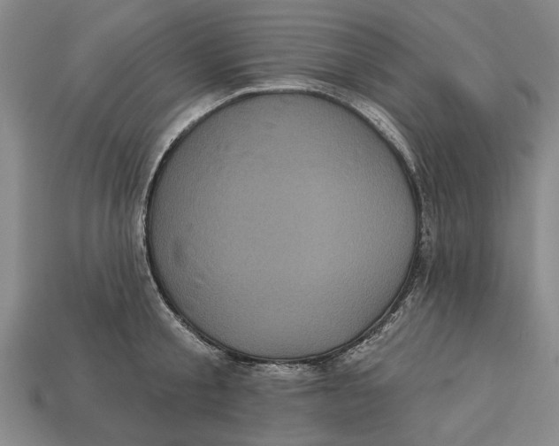 X0000112960805200909171256