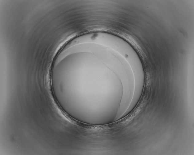 X0000112960806200909171256