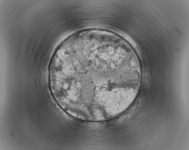 X0000112960807200909171256