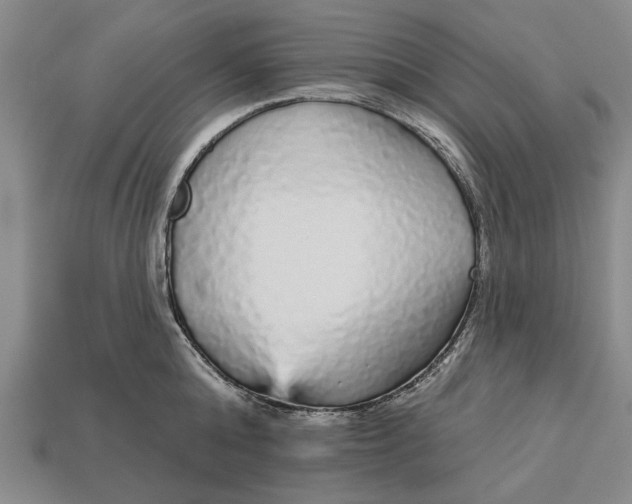 X0000112960808200909171256