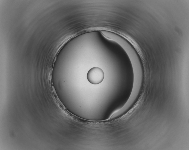 X0000112960809200909171256