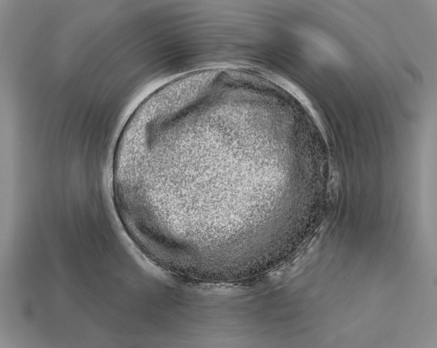 X0000112960811200909171256