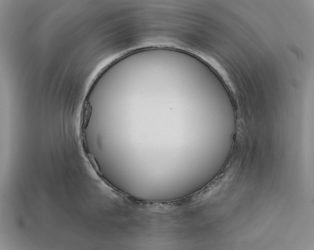 X0000112960815200909171256