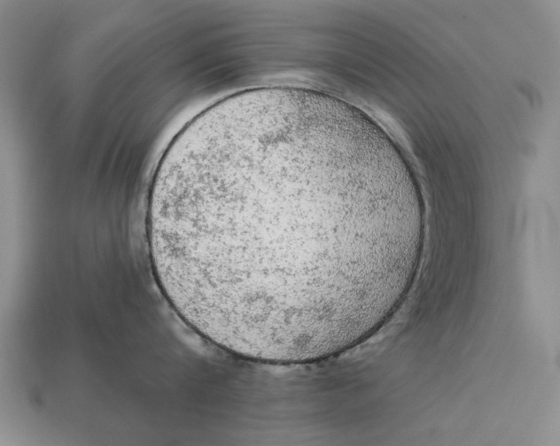 X0000112960816200909171256