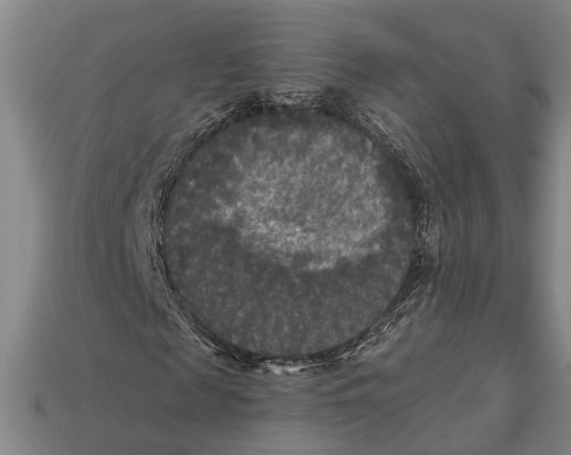 X0000112960817200909171255