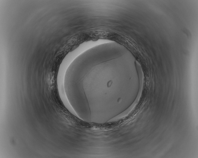 X0000112960818200909171255