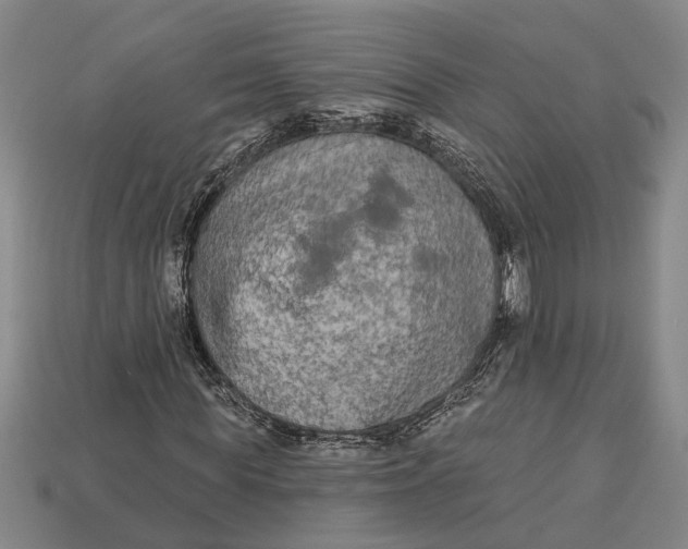 X0000112960819200909171256