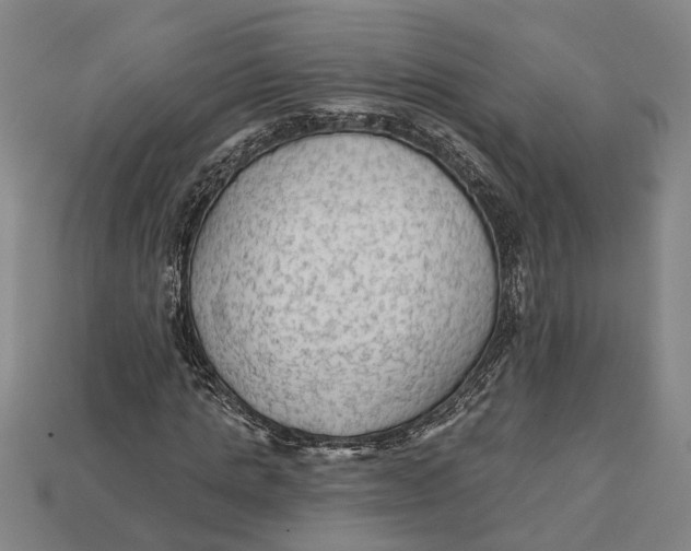 X0000112960821200909171256