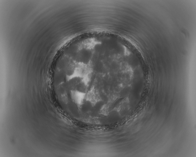 X0000112960823200909171256