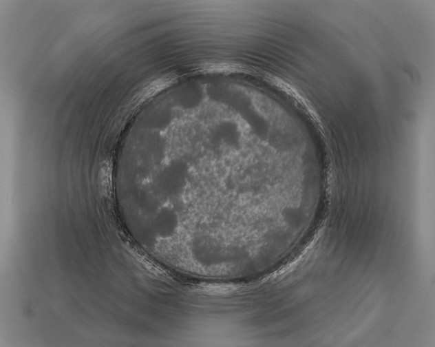 X0000112960825200909171256