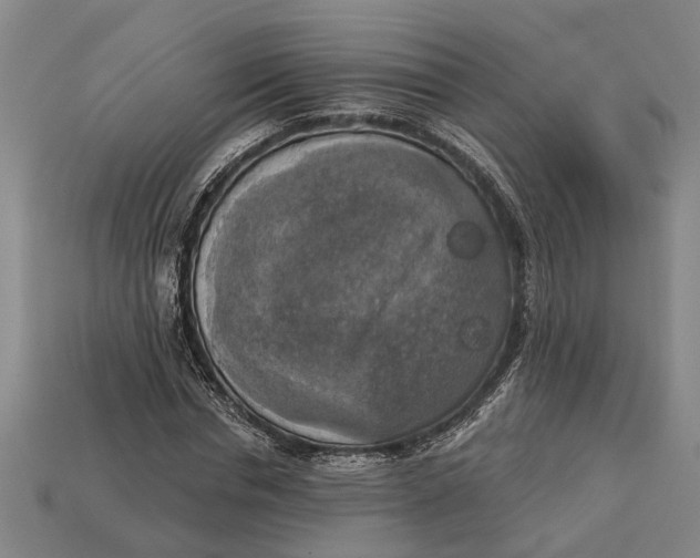 X0000112960826200909171256