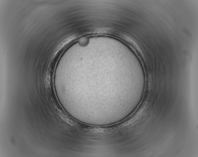 X0000112960827200909171256