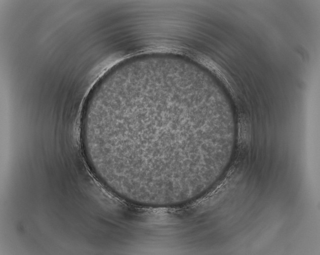 X0000112960828200909171256