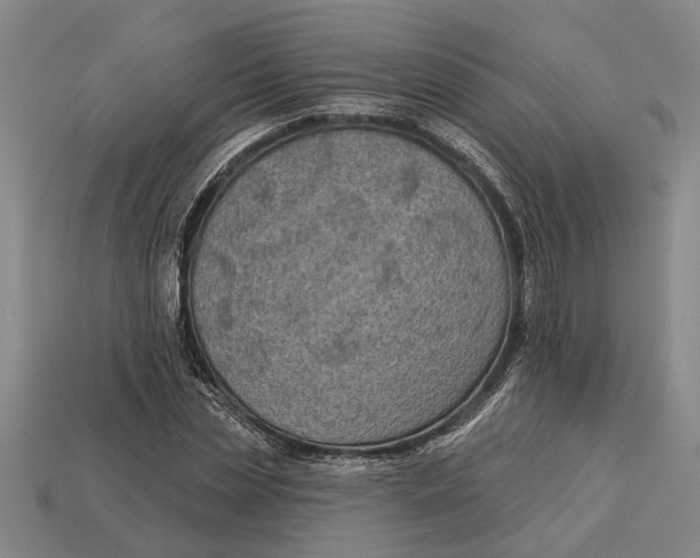 X0000112960829200909171256