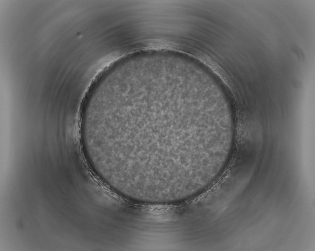 X0000112960832200909171256