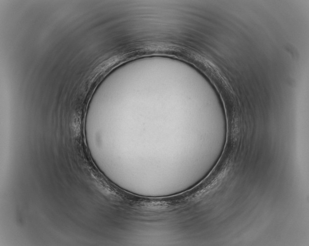 X0000112960833200909171256